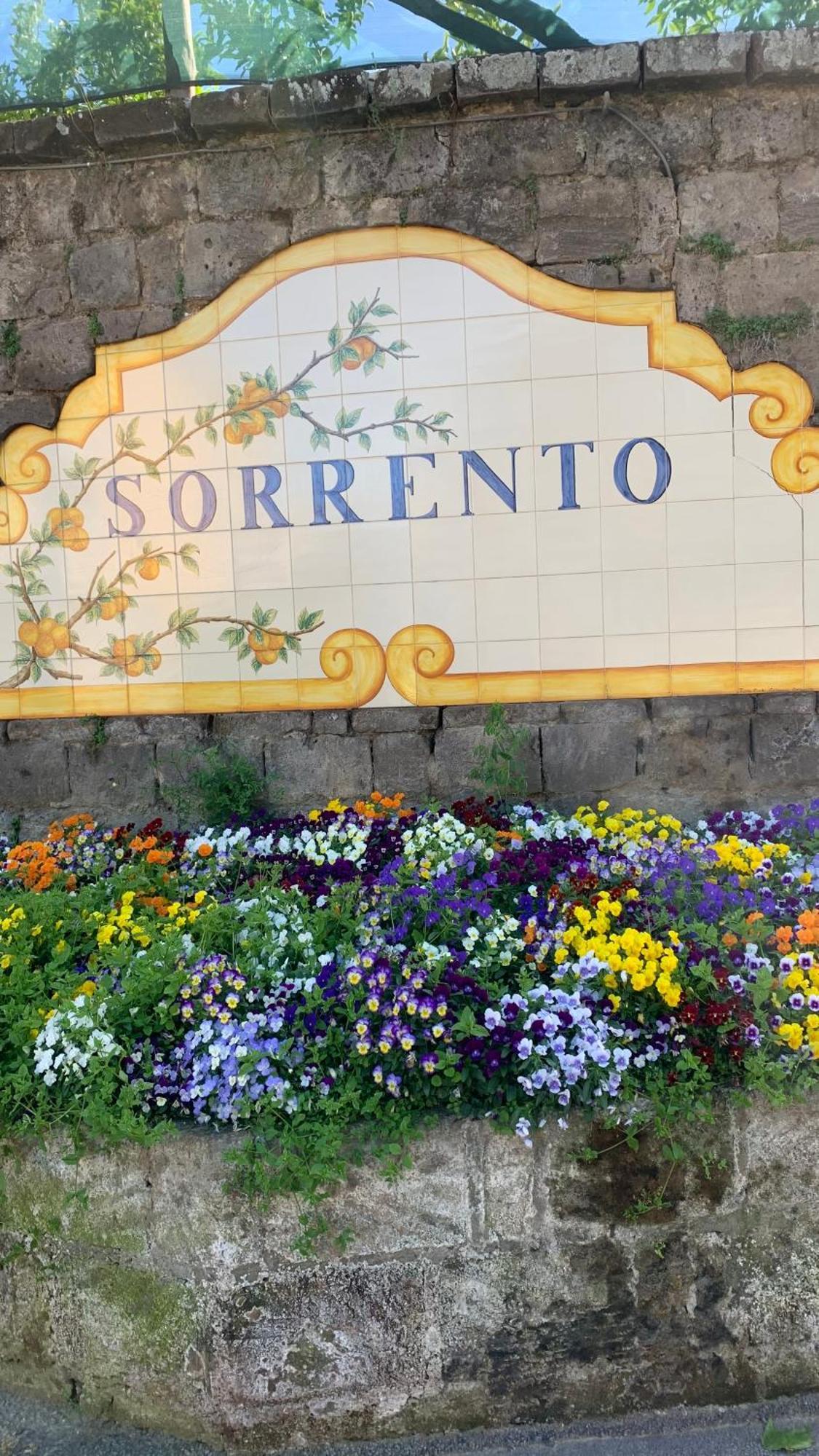 Villa Cettina Boutique Hotel Sorrento Exterior foto